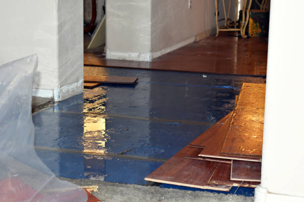 Professional Basement Flood Cleanup technician working in North Fork, CA